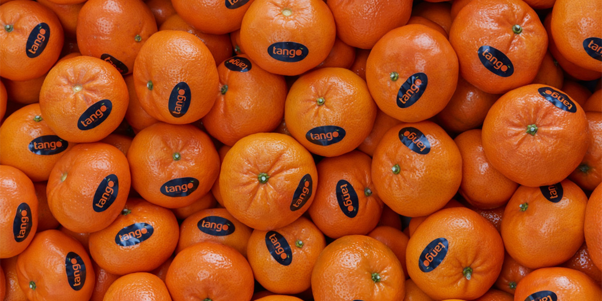 Spreafico: riparte la campagna invernale di Tango Fruit